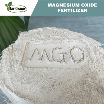 Bột Magnesit nung Caustic cho xi măng