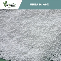 Chất lỏng thải diesel UREA