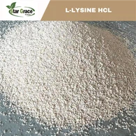 L-Lysine HCL 98,5% cấp thức ăn