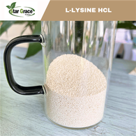Lysine HCL 98,5%