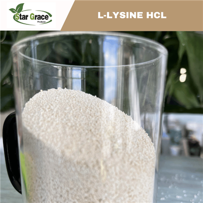 Lysine HCL trong chăm sóc da