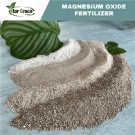 Bột oxit magiê cho chất chống cháy