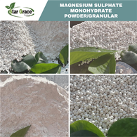 Magiê Sulphate Monohydrate cấp nông nghiệp