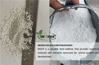 Mono Dicalcium Phosphate (MDCP) cho chăn nuôi gia cầm