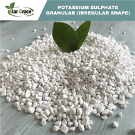 Kali Sulfate dạng hạt