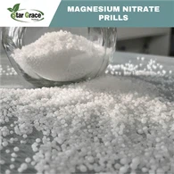 Magie Nitrat Mg(NO3)2