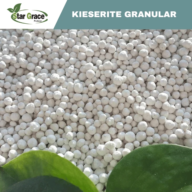 Kieserite Fertilizer for Oil Palm