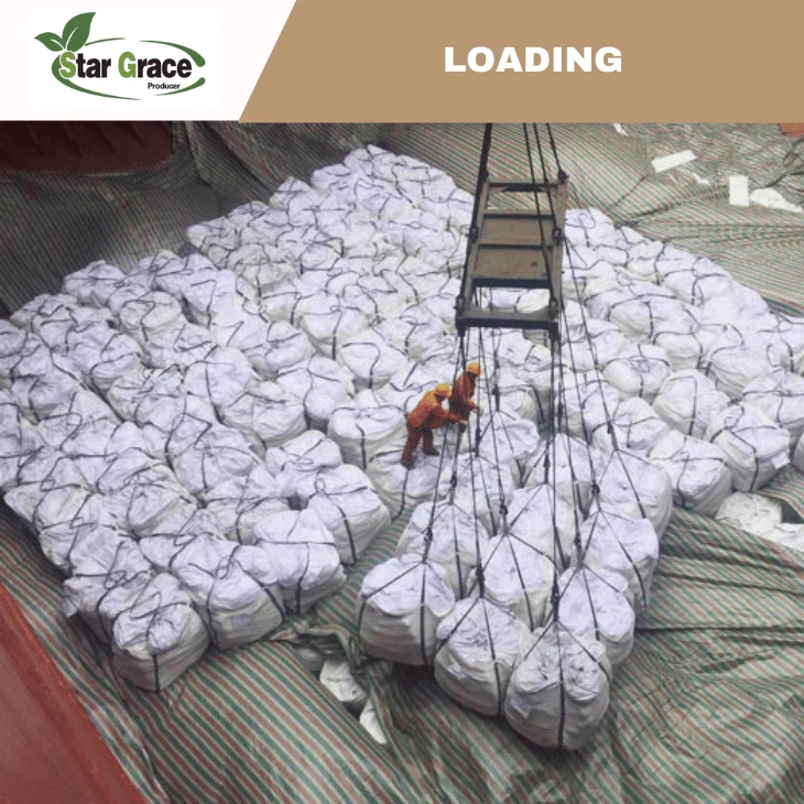 L-Lysine Sulphate