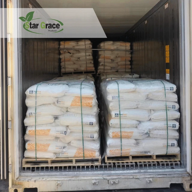 L Lysine Sulphate Feed in Aquarium