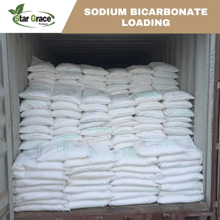 Sodium Bicarbonate What Is It Used For